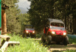 Buggy Adventure tours